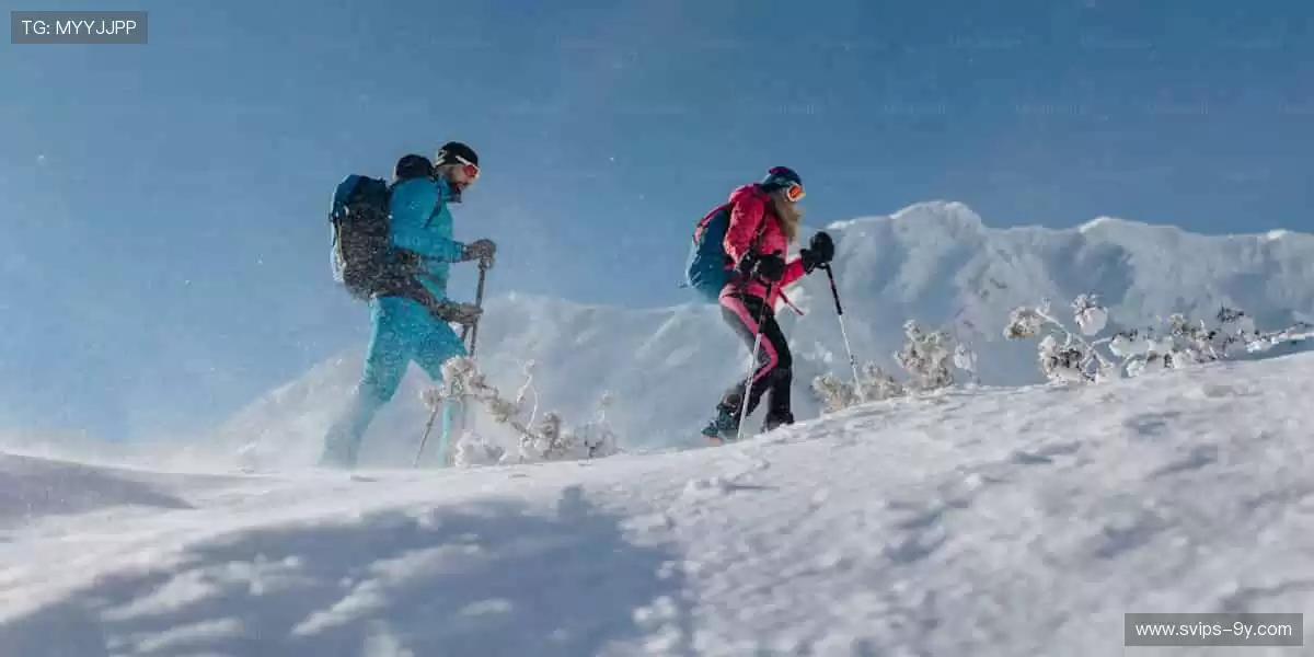 指尖掌控,赛事全收!📱